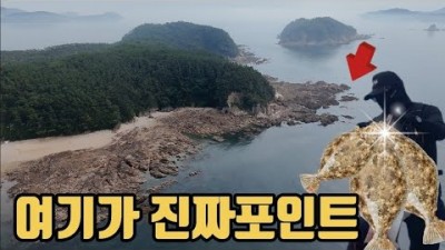루어 낚시 광어 낚시, 태안 파도리 루어 낚시 포인트 및 조황 정보