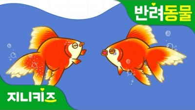 금붕어 키우는 방법, 금붕어 습성, 금붕어 잘 키우는 방법 정보