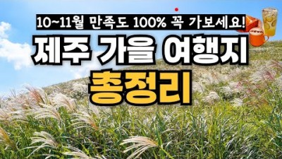 국내 가을 여행지 여기가 최고???? 제주도 억새 명소 베스트5 꼭 가주세요