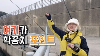 부산 학꽁치 낚시 할만한 곳, 부산 기장 대변항 학꽁치 낚시 포인트 및 조황 정보[출처:유튜브-주은핑]