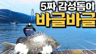 경남 하동 감성돔 원투 낚시 가볼만한 곳