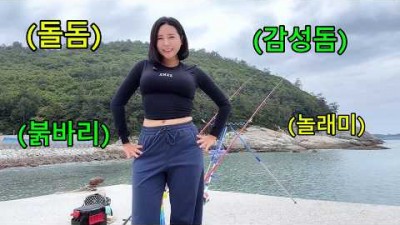 전남 고흥군 원투 낚시 할만한 곳, 고흥 방파제 낚시 돌돔, 감성돔 낚시 포인트 및 조황 정보