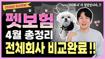 펫보험 강아지 보험, 고양이 보험 가입 방법 및 장단점, 애완 동물 보험 펫보험 보장 내용 및 보험사 비교 견적 추천 정보