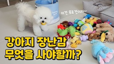 강아지가 좋아 하는 장난감, 