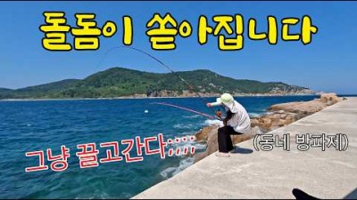 고흥 녹동 거문도 돌돔 원투 낚시 포인트 및 조황 정보