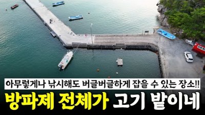 거제도 방파제 낚시 가볼만한 곳, 거제도 오수항 꼬시락 낚시 조황 정보 [박과장TV]