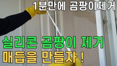 곰팡이 제거 하는 방법, 실리콘 곰팡이 욕실 곰팡이 제거 획기적인 방법, 정말 쉽고 간단한 곰팡이 제거 1분 방법 정보