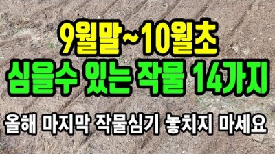 텃밭작물 9월말에서 10월초에 심을수 있는 작물 14가지 추천(춘채,봄동,마늘,양파,상추,도라지,더덕,산마늘,명이나물,김장배추,김장무,쪽파,대파,쑥갓) 올해 마지막 작물심기정보