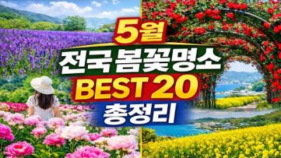 꽃구경 가볼만한 곳, 태안, 전주, 합천, 예천, 순천, 영천, 남원, 가평, 함안, 임실, 울산, 곡성, 포천, 단양 꽃 구경, 봄 여행 갈만한 곳 추천 정보