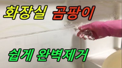 욕실 화장실 타일 곰팡이 깨끗하게 제거하는 방법, 화장실 욕실 청소 깨끗하게 하는 방법 정보