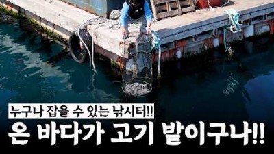 통영 전어 낚시, 통영 만지도 좌대 낚시 전어 낚시, 채비 및 조황 정보