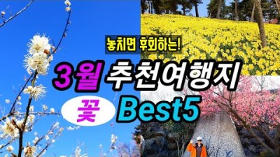 3월 꽃 축제 여행 가볼만한 곳, 